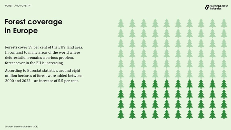 Forest coverage in europe